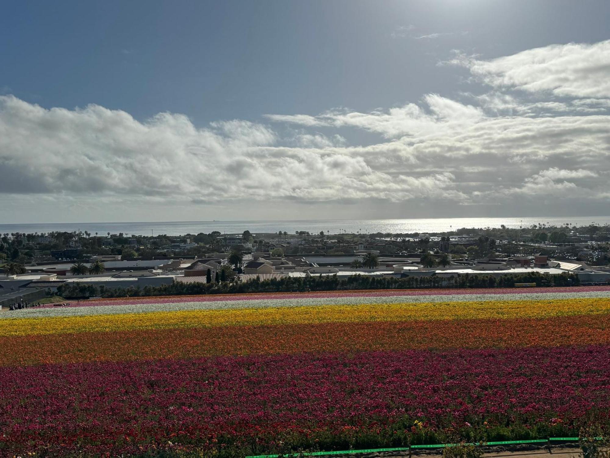 Holiday Inn Express Hotel & Suites Carlsbad Beach By Ihg Eksteriør billede